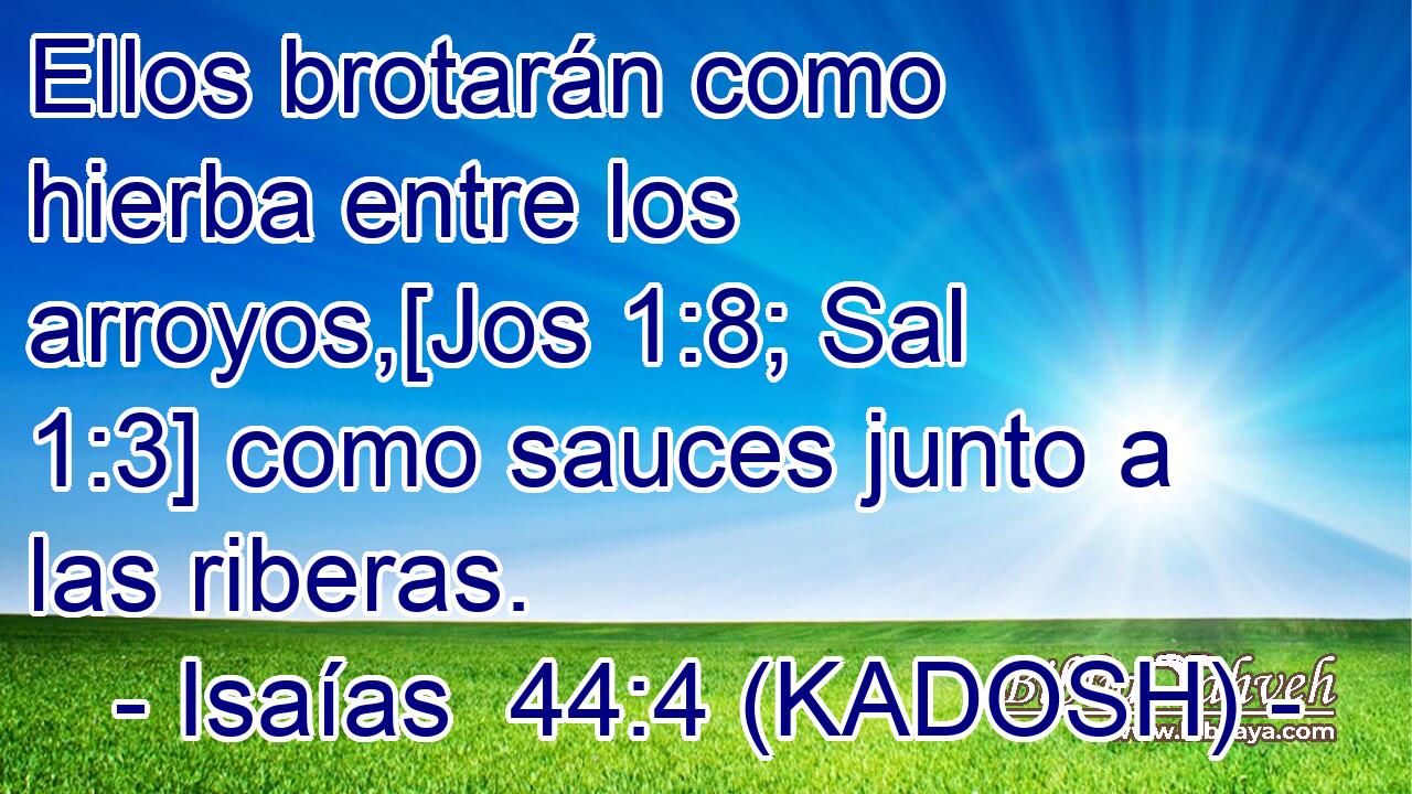  Ellos brotarán como hierba entre los arroyos,[Jos 1:8; Sal 1:3] como sauces junto a las riberas. 