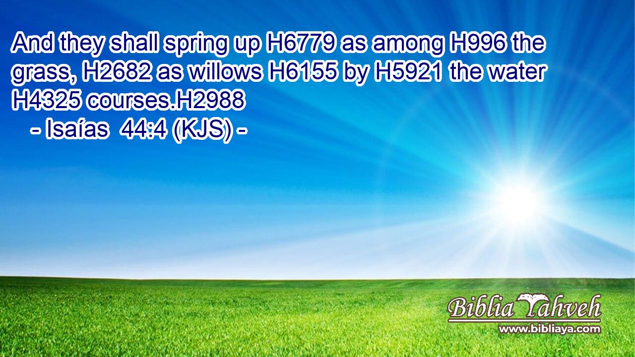 And they shall spring up H6779 as among H996 the grass, H2682 as willows H6155 by H5921 the water H4325 courses.H2988