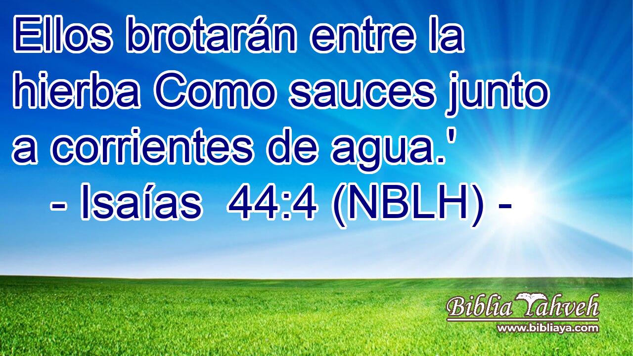  Ellos brotarán entre la hierba Como sauces junto a corrientes de agua.' 