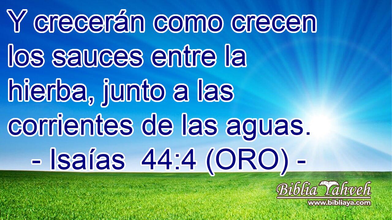  Y crecerán como crecen los sauces entre la hierba, junto a las corrientes de las aguas. 