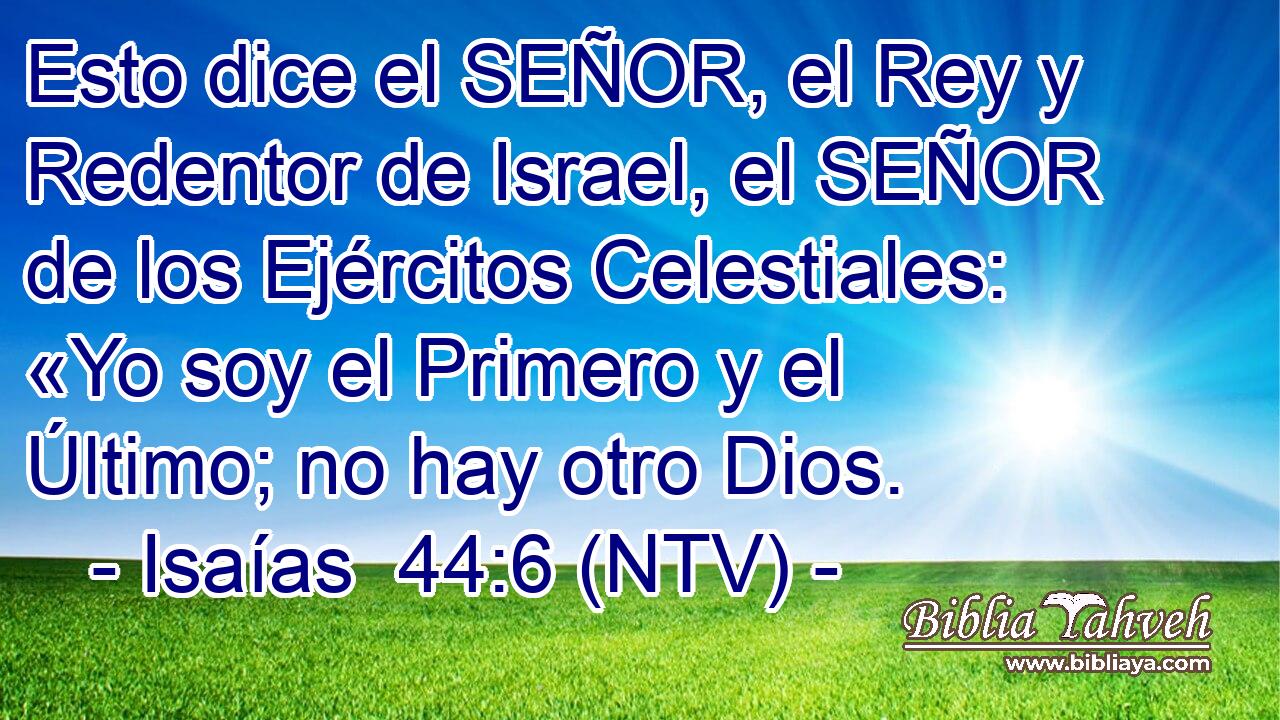 Esto dice el SEÑOR, el Rey y Redentor de Israel, el SEÑOR de los Ejércitos Celestiales: «Yo soy el Primero y el Último; no hay otro Dios.