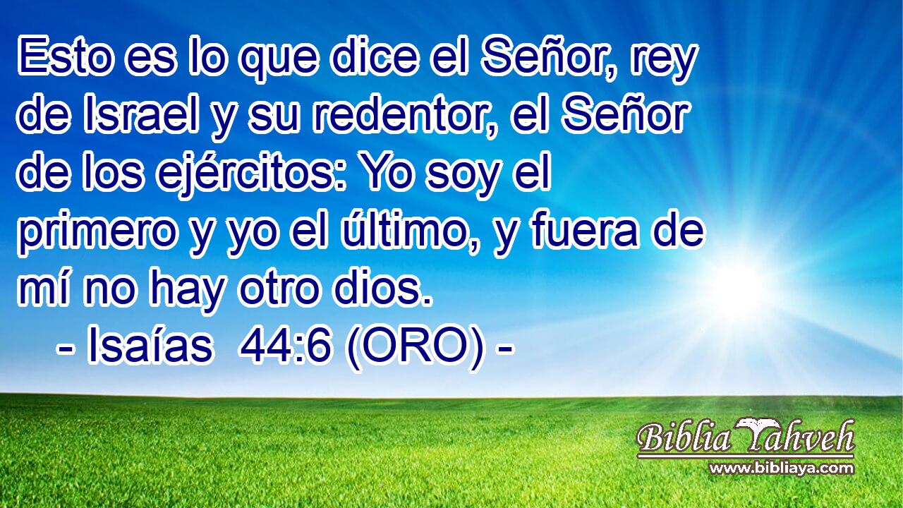  Esto es lo que dice el Señor, rey de Israel y su redentor, el Señor de los ejércitos: Yo soy el primero y yo el último, y fuera de mí no hay otro dios. 