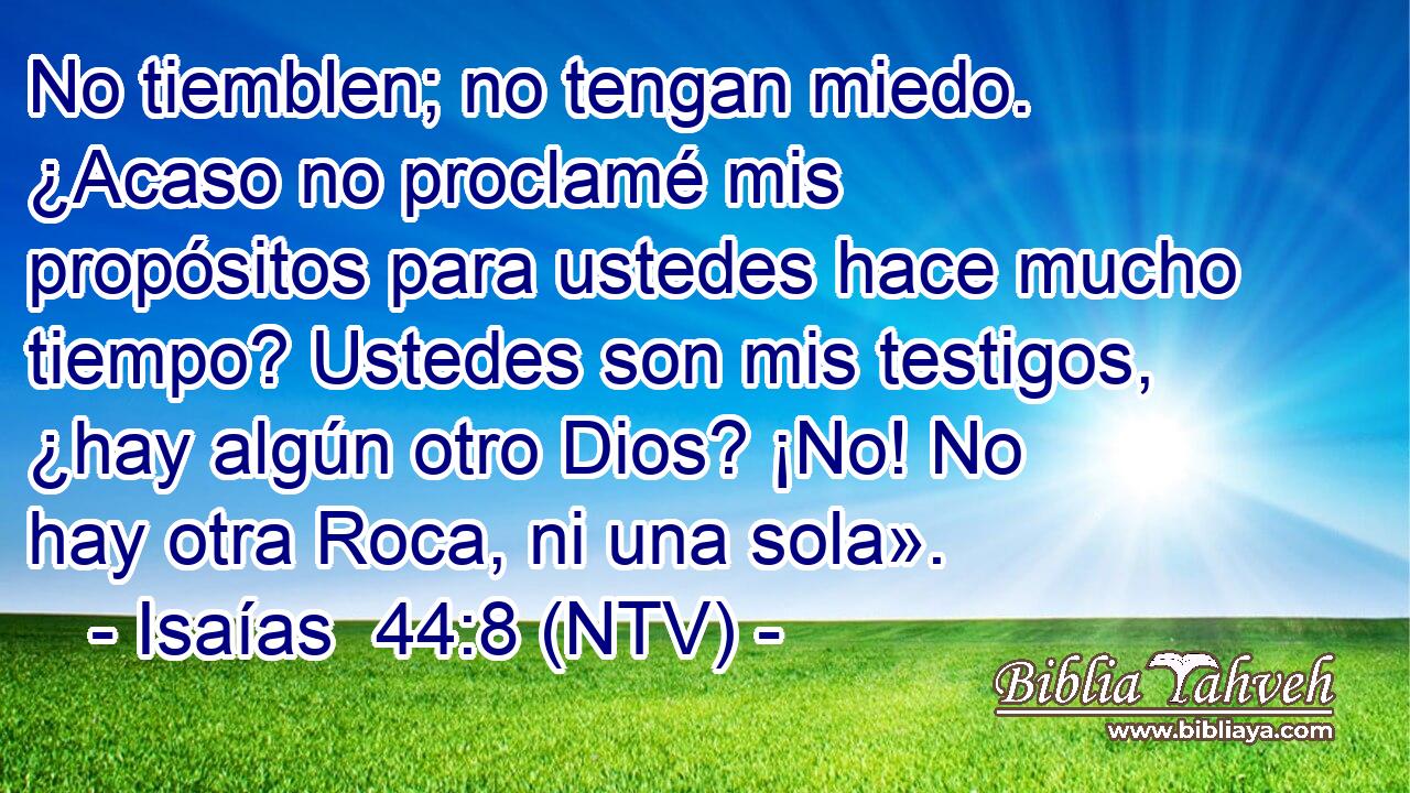 No tiemblen; no tengan miedo. ¿Acaso no proclamé mis propósitos para ustedes hace mucho tiempo? Ustedes son mis testigos, ¿hay algún otro Dios? ¡No! No hay otra Roca, ni una sola».