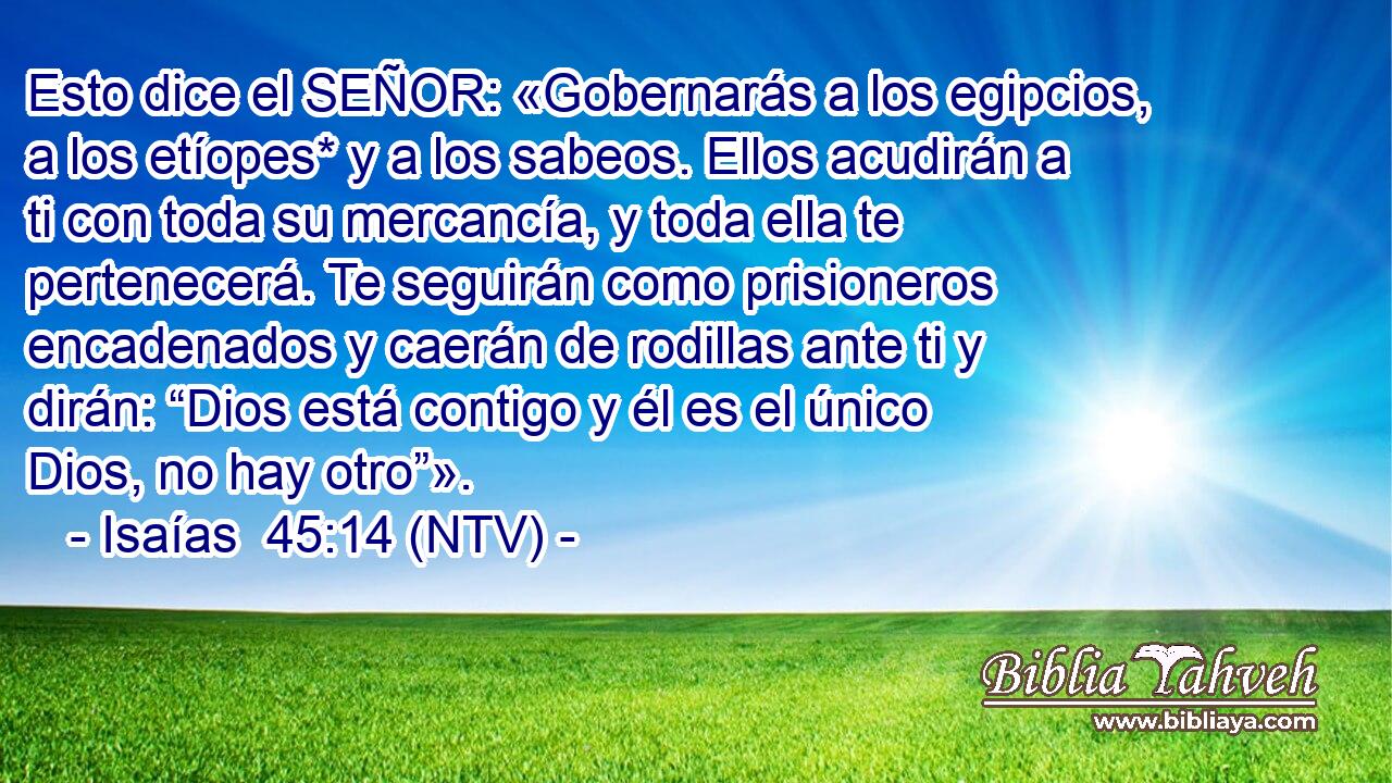 Esto dice el SEÑOR: «Gobernarás a los egipcios, a los etíopes* y a los sabeos. Ellos acudirán a ti con toda su mercancía, y toda ella te pertenecerá. Te seguirán como prisioneros encadenados y caerán de rodillas ante ti y dirán: “Dios está contigo y él es el único Dios, no hay otro”».