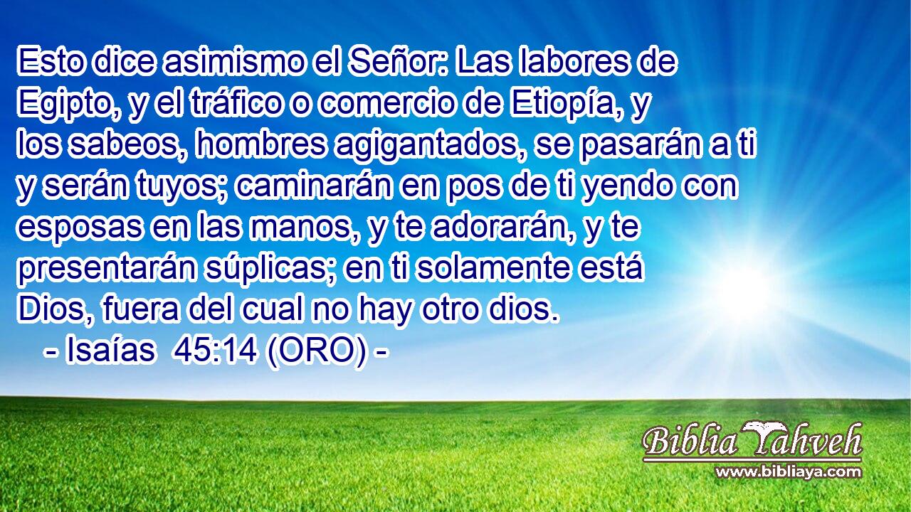  Esto dice asimismo el Señor: Las labores de Egipto, y el tráfico o comercio de Etiopía, y los sabeos, hombres agigantados, se pasarán a ti y serán tuyos; caminarán en pos de ti yendo con esposas en las manos, y te adorarán, y te presentarán súplicas; en ti solamente está Dios, fuera del cual no hay otro dios. 