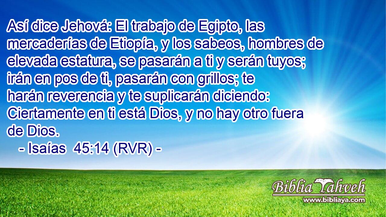 Así dice Jehová: El trabajo de Egipto, las mercaderías de Etiopía, y los sabeos, hombres de elevada estatura, se pasarán a ti y serán tuyos; irán en pos de ti, pasarán con grillos; te harán reverencia y te suplicarán diciendo: Ciertamente en ti está Dios, y no hay otro fuera de Dios.