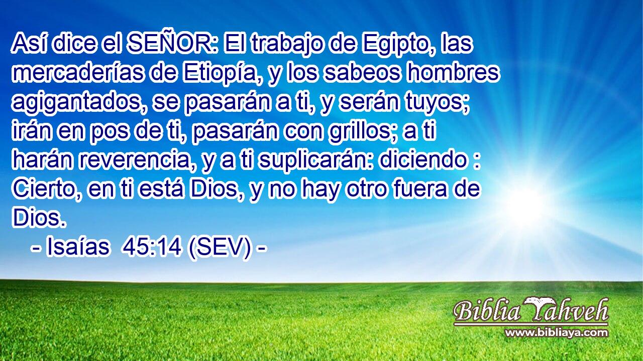 Así dice el SEÑOR: El trabajo de Egipto, las mercaderías de Etiopía, y los sabeos hombres agigantados, se pasarán a ti, y serán tuyos; irán en pos de ti, pasarán con grillos; a ti harán reverencia, y a ti suplicarán: diciendo : Cierto, en ti está Dios, y no hay otro fuera de Dios.