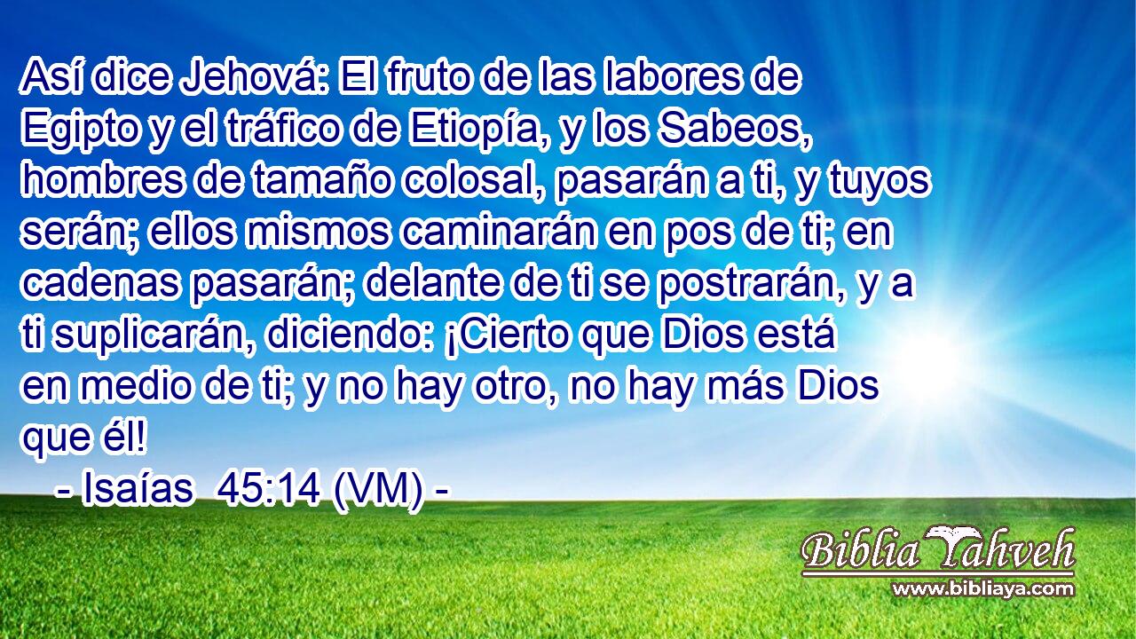  Así dice Jehová: El fruto de las labores de Egipto y el tráfico de Etiopía, y los Sabeos, hombres de tamaño colosal, pasarán a ti, y tuyos serán; ellos mismos caminarán en pos de ti; en cadenas pasarán; delante de ti se postrarán, y a ti suplicarán, diciendo: ¡Cierto que Dios está en medio de ti; y no hay otro, no hay más Dios que él! 