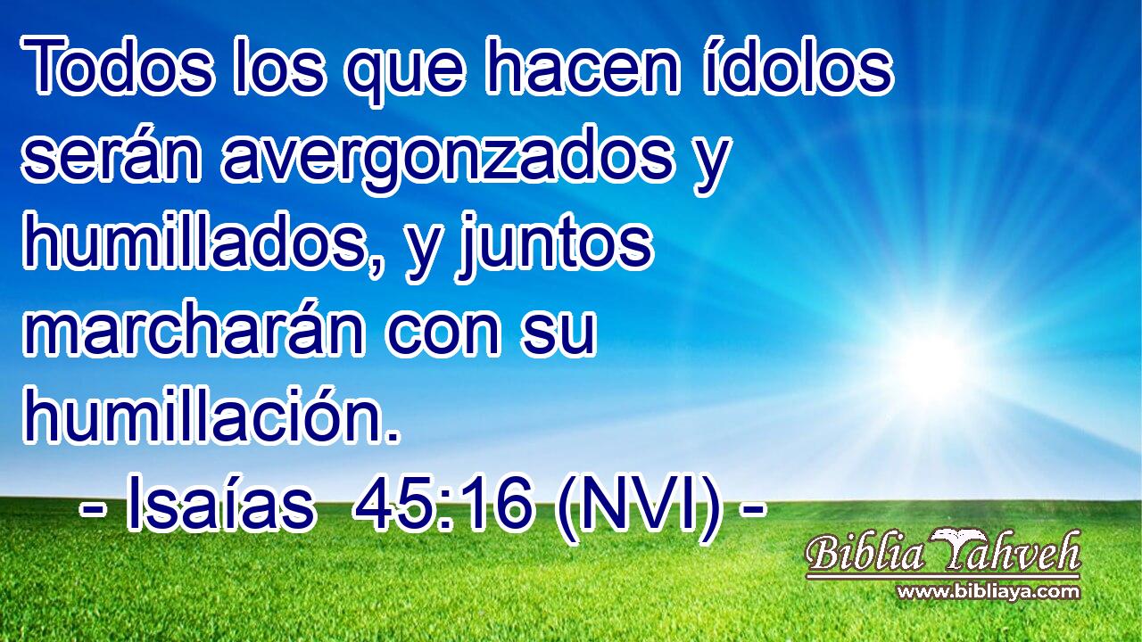  Todos los que hacen ídolos serán avergonzados y humillados, y juntos marcharán con su humillación. 