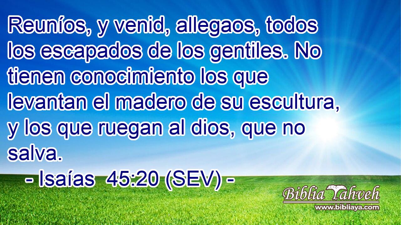 Reuníos, y venid, allegaos, todos los escapados de los gentiles. No tienen conocimiento los que levantan el madero de su escultura, y los que ruegan al dios, que no salva.