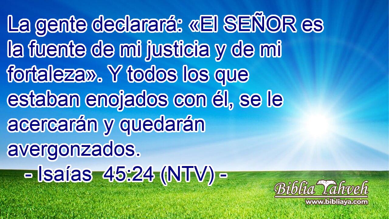La gente declarará: «El SEÑOR es la fuente de mi justicia y de mi fortaleza». Y todos los que estaban enojados con él, se le acercarán y quedarán avergonzados.