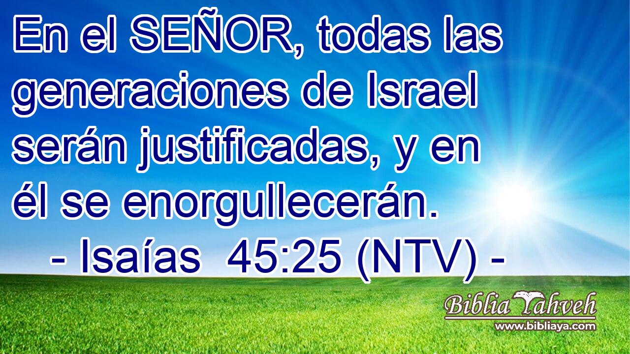 En el SEÑOR, todas las generaciones de Israel serán justificadas, y en él se enorgullecerán.