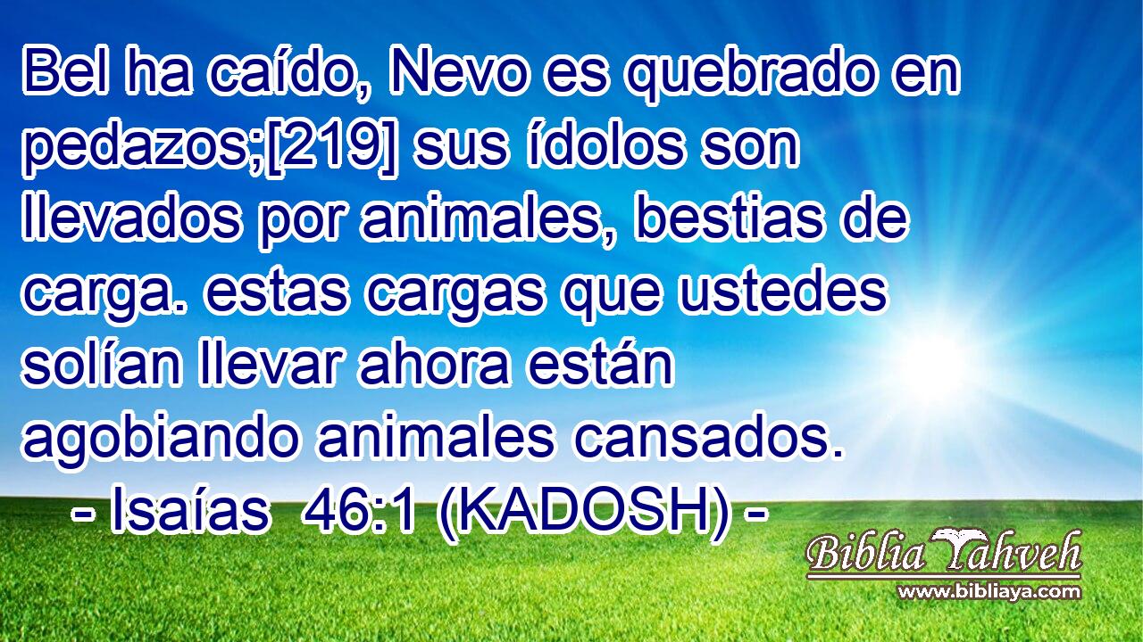  Bel ha caído, Nevo es quebrado en pedazos;[219] sus ídolos son llevados por animales, bestias de carga. estas cargas que ustedes solían llevar ahora están agobiando animales cansados. 