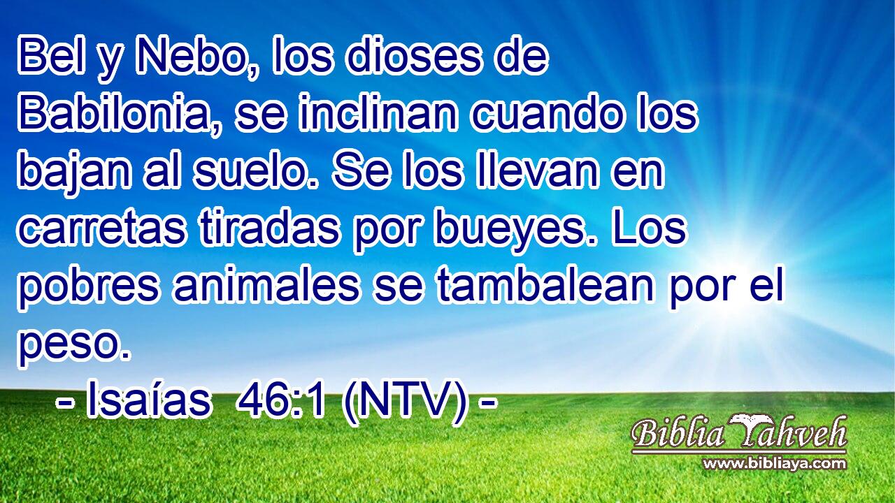 Bel y Nebo, los dioses de Babilonia, se inclinan cuando los bajan al suelo. Se los llevan en carretas tiradas por bueyes. Los pobres animales se tambalean por el peso.