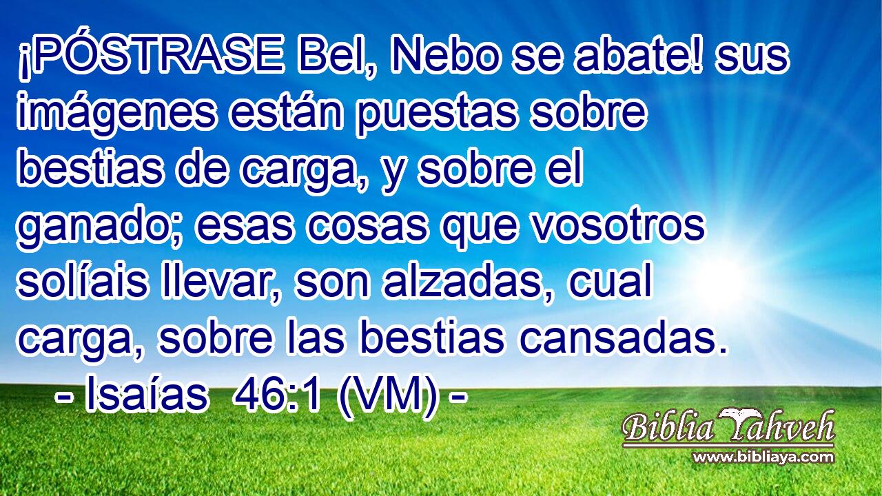  ¡PÓSTRASE Bel, Nebo se abate! sus imágenes están puestas sobre bestias de carga, y sobre el ganado; esas cosas que vosotros solíais llevar, son alzadas, cual carga, sobre las bestias cansadas. 
