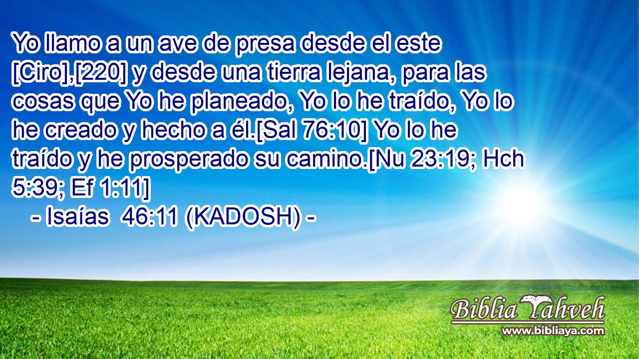  Yo llamo a un ave de presa desde el este [Ciro],[220] y desde una tierra lejana, para las cosas que Yo he planeado, Yo lo he traído, Yo lo he creado y hecho a él.[Sal 76:10] Yo lo he traído y he prosperado su camino.[Nu 23:19; Hch 5:39; Ef 1:11] 