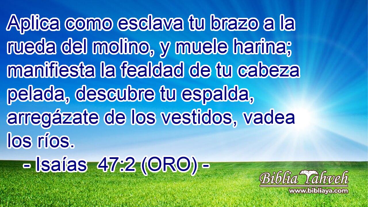  Aplica como esclava tu brazo a la rueda del molino, y muele harina; manifiesta la fealdad de tu cabeza pelada, descubre tu espalda, arregázate de los vestidos, vadea los ríos. 