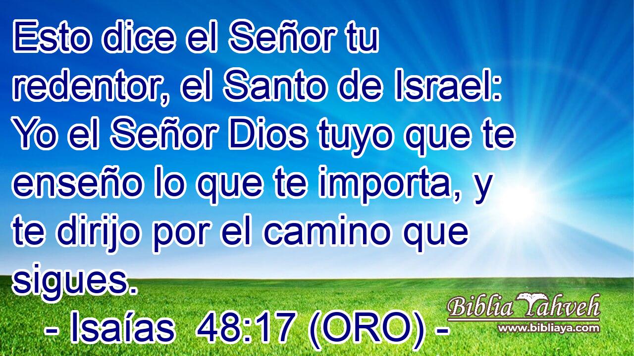  Esto dice el Señor tu redentor, el Santo de Israel: Yo el Señor Dios tuyo que te enseño lo que te importa, y te dirijo por el camino que sigues. 