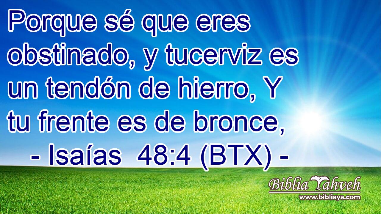 Porque sé que eres obstinado, y tucerviz es un tendón de hierro, Y tu frente es de bronce,