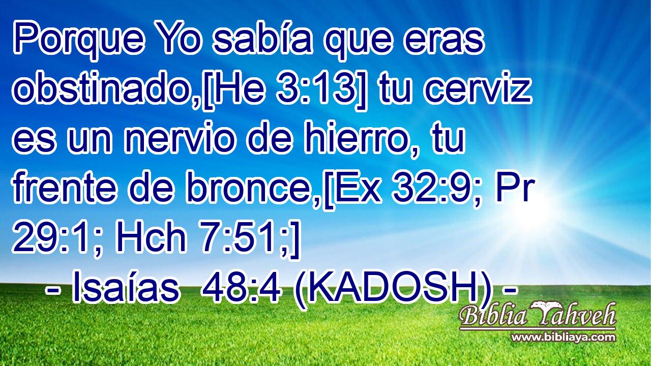 Porque Yo sabía que eras obstinado,[He 3:13] tu cerviz es un nervio de hierro, tu frente de bronce,[Ex 32:9; Pr 29:1; Hch 7:51;] 