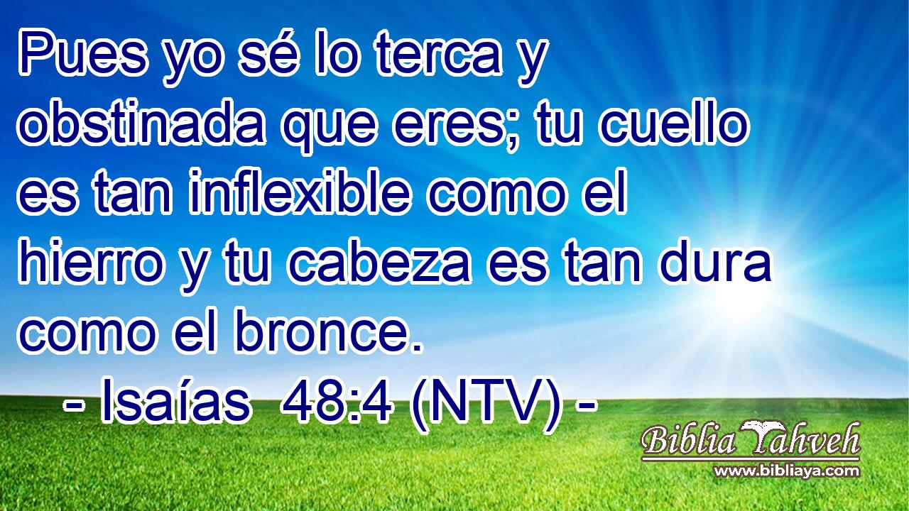 Pues yo sé lo terca y obstinada que eres; tu cuello es tan inflexible como el hierro y tu cabeza es tan dura como el bronce.