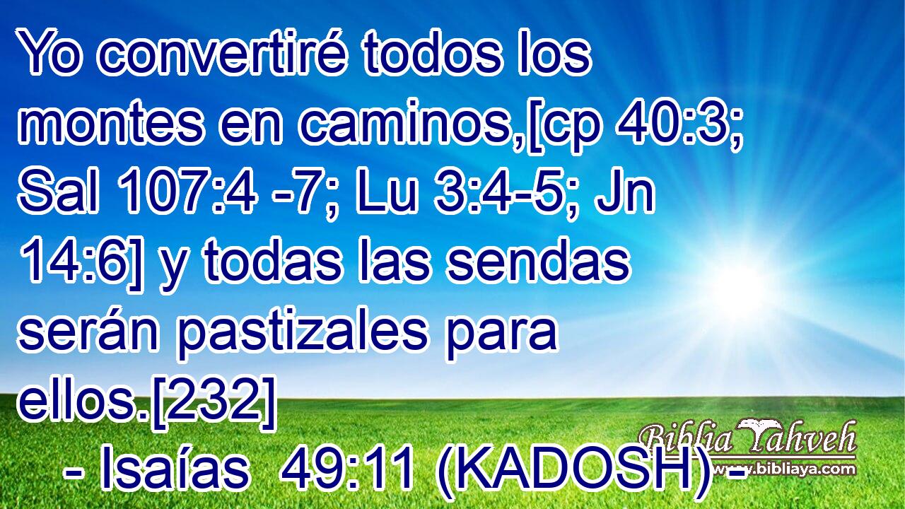  Yo convertiré todos los montes en caminos,[cp 40:3; Sal 107:4 -7; Lu 3:4-5; Jn 14:6] y todas las sendas serán pastizales para ellos.[232] 