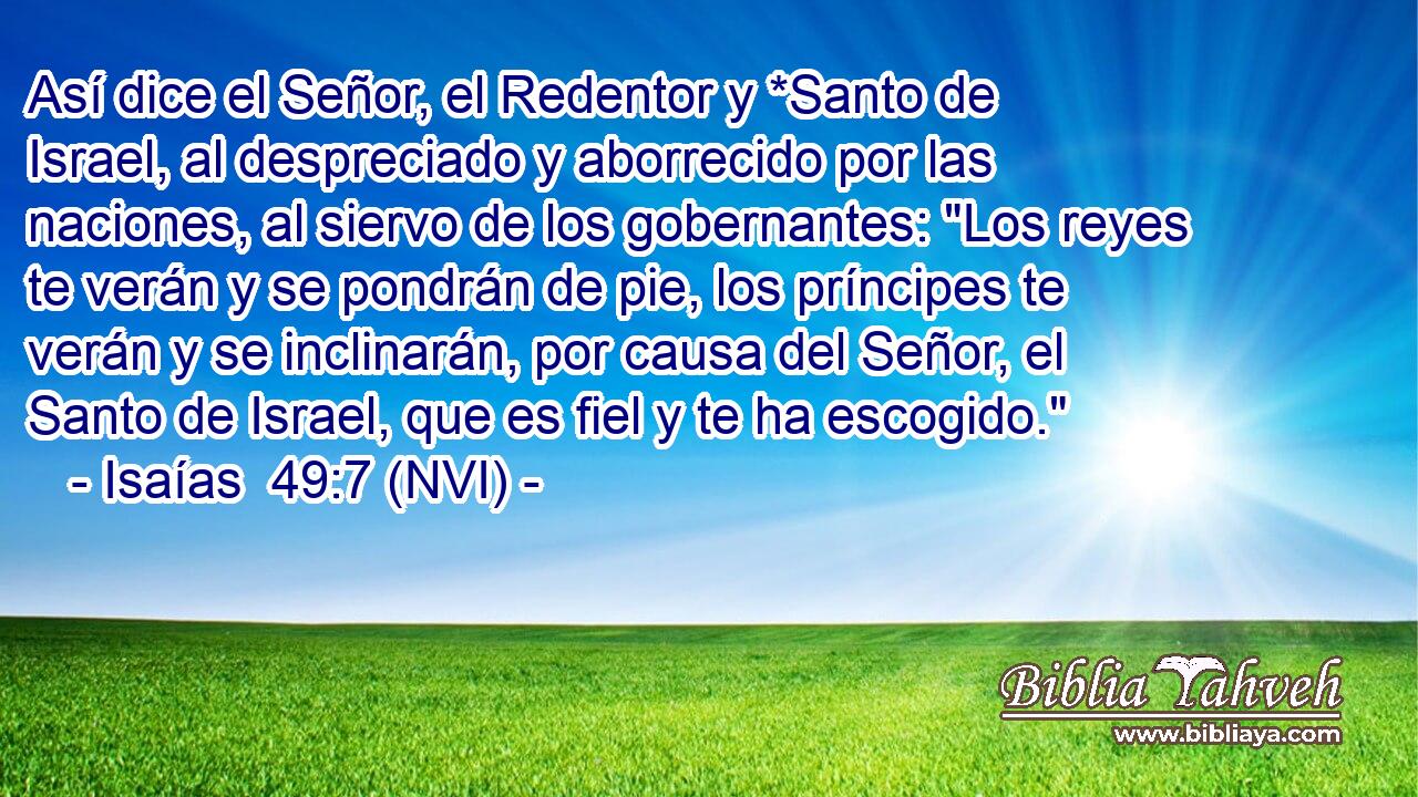  Así dice el Señor, el Redentor y *Santo de Israel, al despreciado y aborrecido por las naciones, al siervo de los gobernantes: 