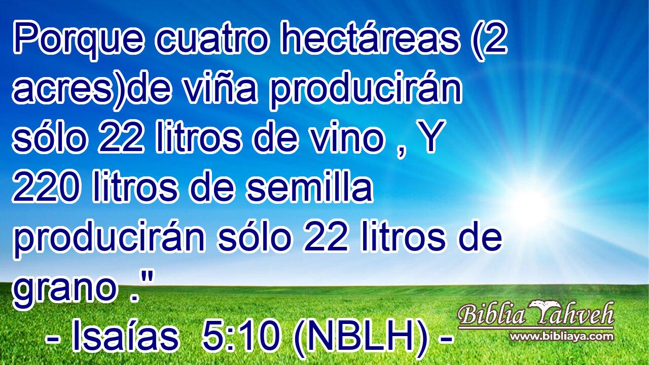  Porque cuatro hectáreas (2 acres)de viña producirán sólo 22 litros de vino , Y 220 litros de semilla producirán sólo 22 litros de grano .