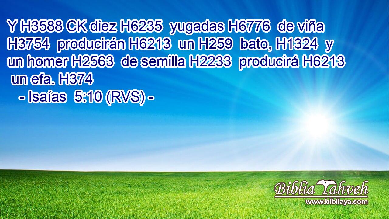Y H3588 CK diez H6235  yugadas H6776  de viña H3754  producirán H6213  un H259  bato, H1324  y un homer H2563  de semilla H2233  producirá H6213  un efa. H374  