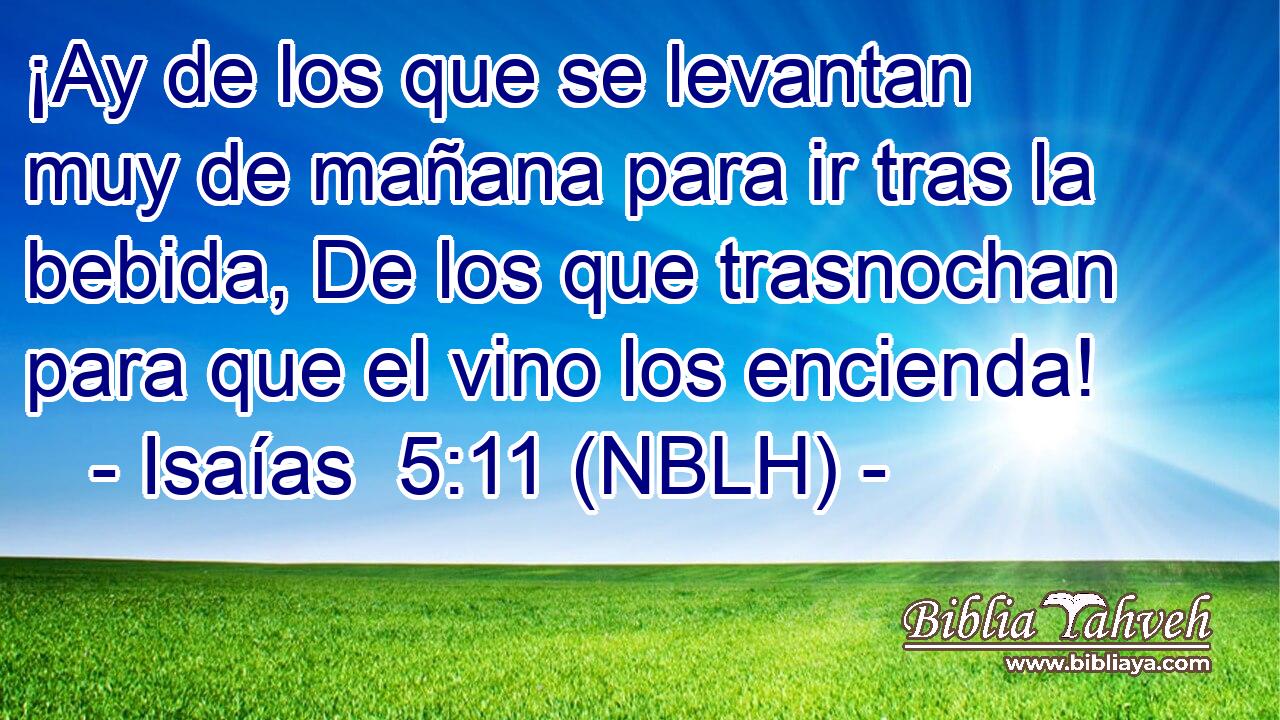  ¡Ay de los que se levantan muy de mañana para ir tras la bebida, De los que trasnochan para que el vino los encienda! 