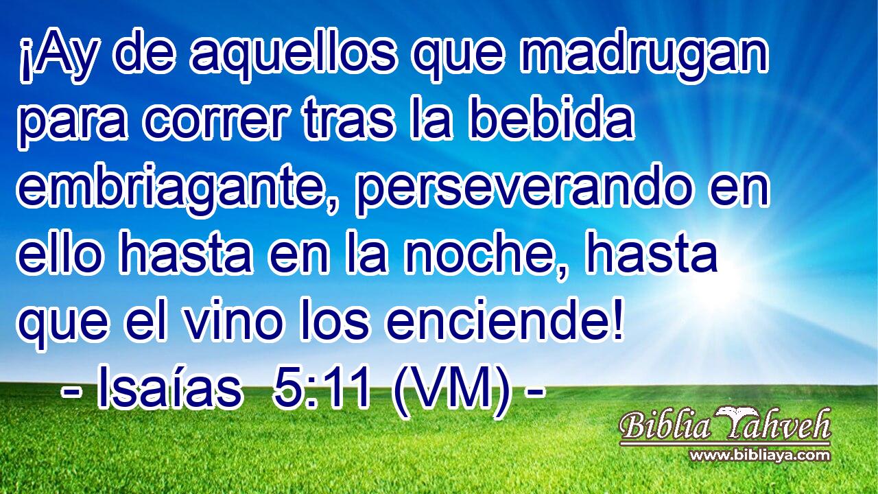  ¡Ay de aquellos que madrugan para correr tras la bebida embriagante, perseverando en ello hasta en la noche, hasta que el vino los enciende! 