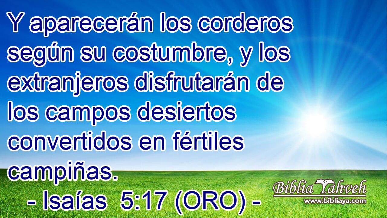  Y aparecerán los corderos según su costumbre, y los extranjeros disfrutarán de los campos desiertos convertidos en fértiles campiñas. 