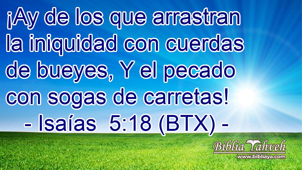 ¡Ay de los que arrastran la iniquidad con cuerdas de bueyes, Y el pecado con sogas de carretas!