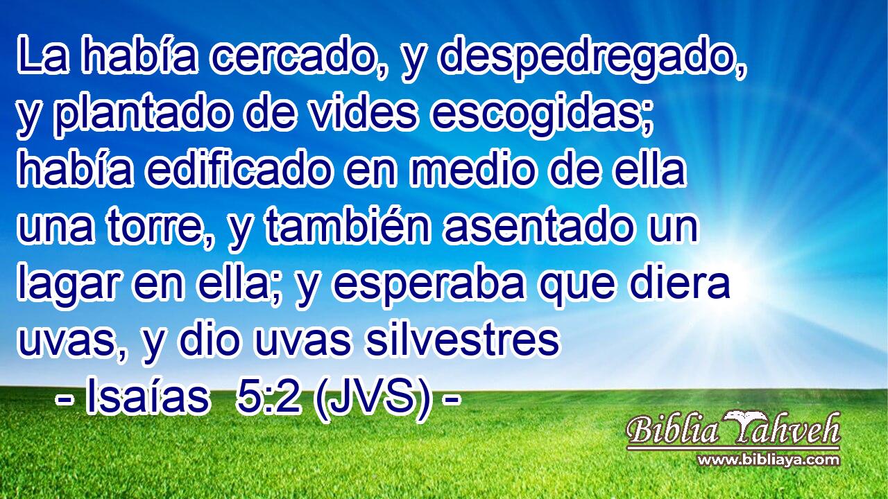 La había cercado, y despedregado, y plantado de vides escogidas; había edificado en medio de ella una torre, y también asentado un lagar en ella; y esperaba que diera uvas, y dio uvas silvestres