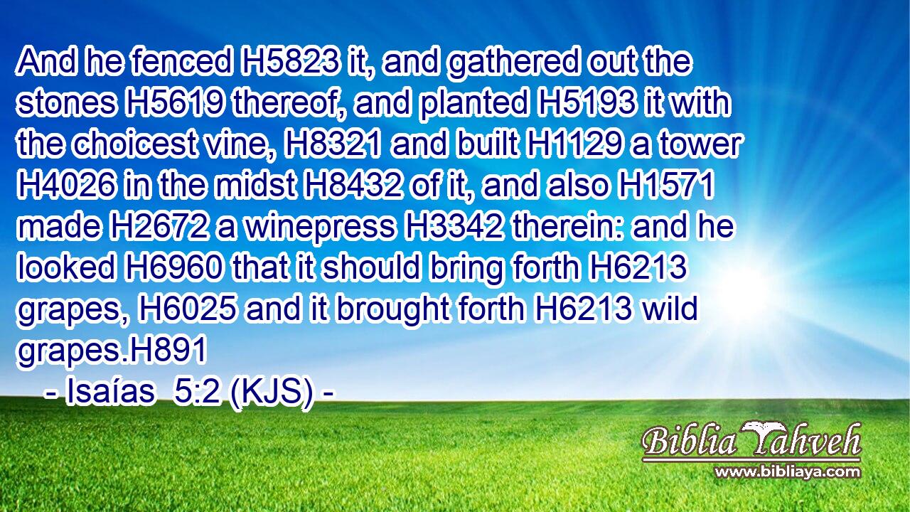 And he fenced H5823 it, and gathered out the stones H5619 thereof, and planted H5193 it with the choicest vine, H8321 and built H1129 a tower H4026 in the midst H8432 of it, and also H1571 made H2672 a winepress H3342 therein: and he looked H6960 that it should bring forth H6213 grapes, H6025 and it brought forth H6213 wild grapes.H891