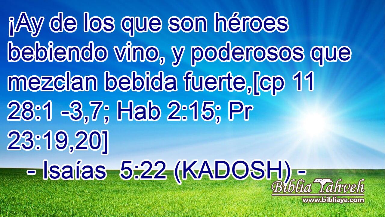 ¡Ay de los que son héroes bebiendo vino, y poderosos que mezclan bebida fuerte,[cp 11 28:1 -3,7; Hab 2:15; Pr 23:19,20] 