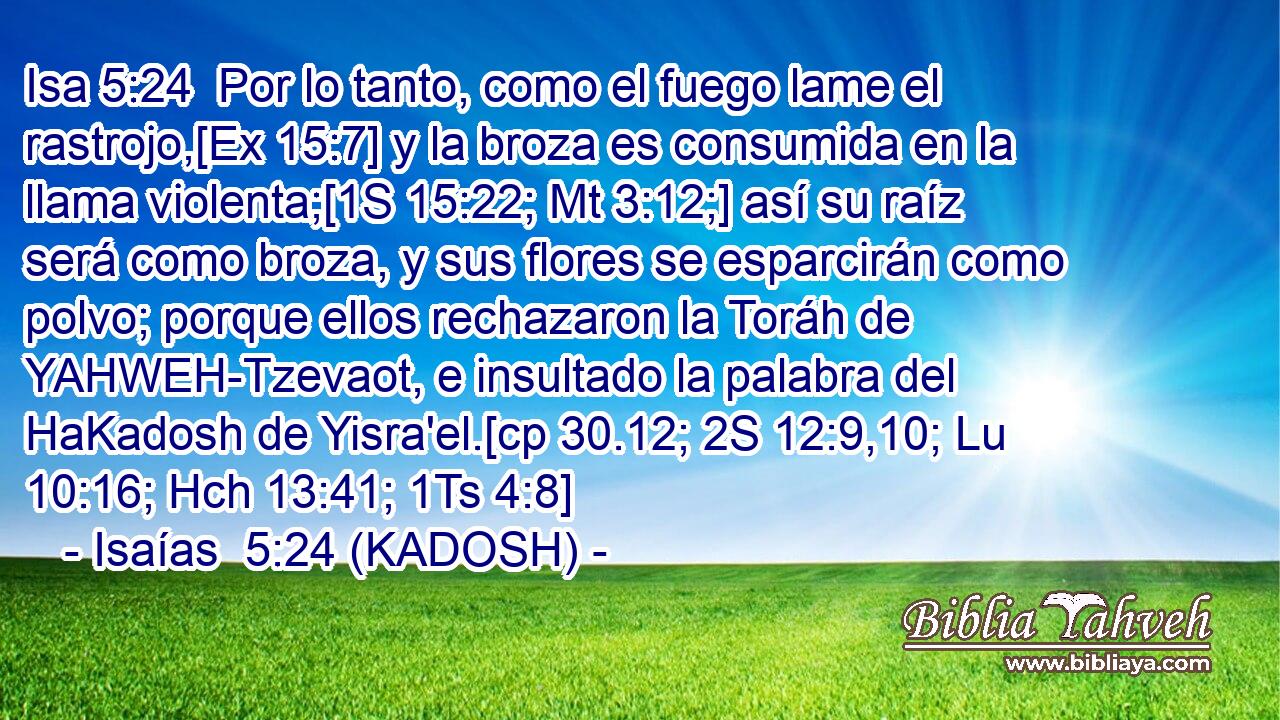  Por lo tanto, como el fuego lame el rastrojo,[Ex 15:7] y la broza es consumida en la llama violenta;[1S 15:22; Mt 3:12;] así su raíz será como broza, y sus flores se esparcirán como polvo; porque ellos rechazaron la Toráh de YAHWEH-Tzevaot, e insultado la palabra del HaKadosh de Yisra'el.[cp 30.12; 2S 12:9,10; Lu 10:16; Hch 13:41; 1Ts 4:8] 