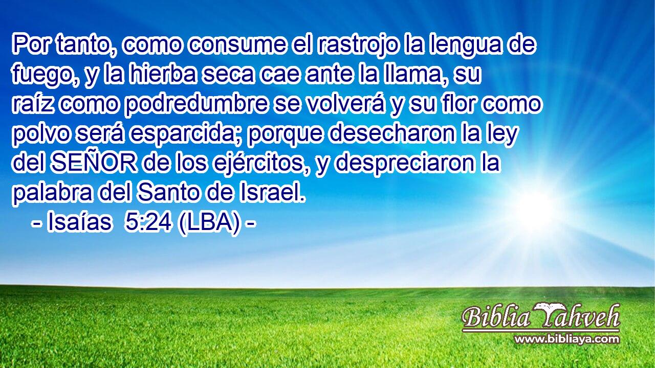 Por tanto, como consume el rastrojo la lengua de fuego, y la hierba seca cae ante la llama, su raíz como podredumbre se volverá y su flor como polvo será esparcida; porque desecharon la ley del SEÑOR de los ejércitos, y despreciaron la palabra del Santo de Israel.