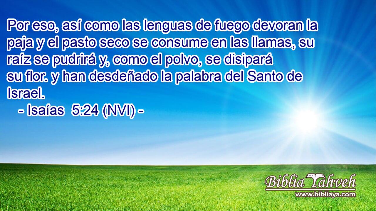  Por eso, así como las lenguas de fuego devoran la paja y el pasto seco se consume en las llamas, su raíz se pudrirá y, como el polvo, se disipará su flor. y han desdeñado la palabra del Santo de Israel. 