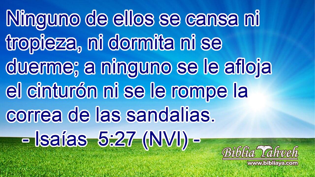  Ninguno de ellos se cansa ni tropieza, ni dormita ni se duerme; a ninguno se le afloja el cinturón ni se le rompe la correa de las sandalias. 
