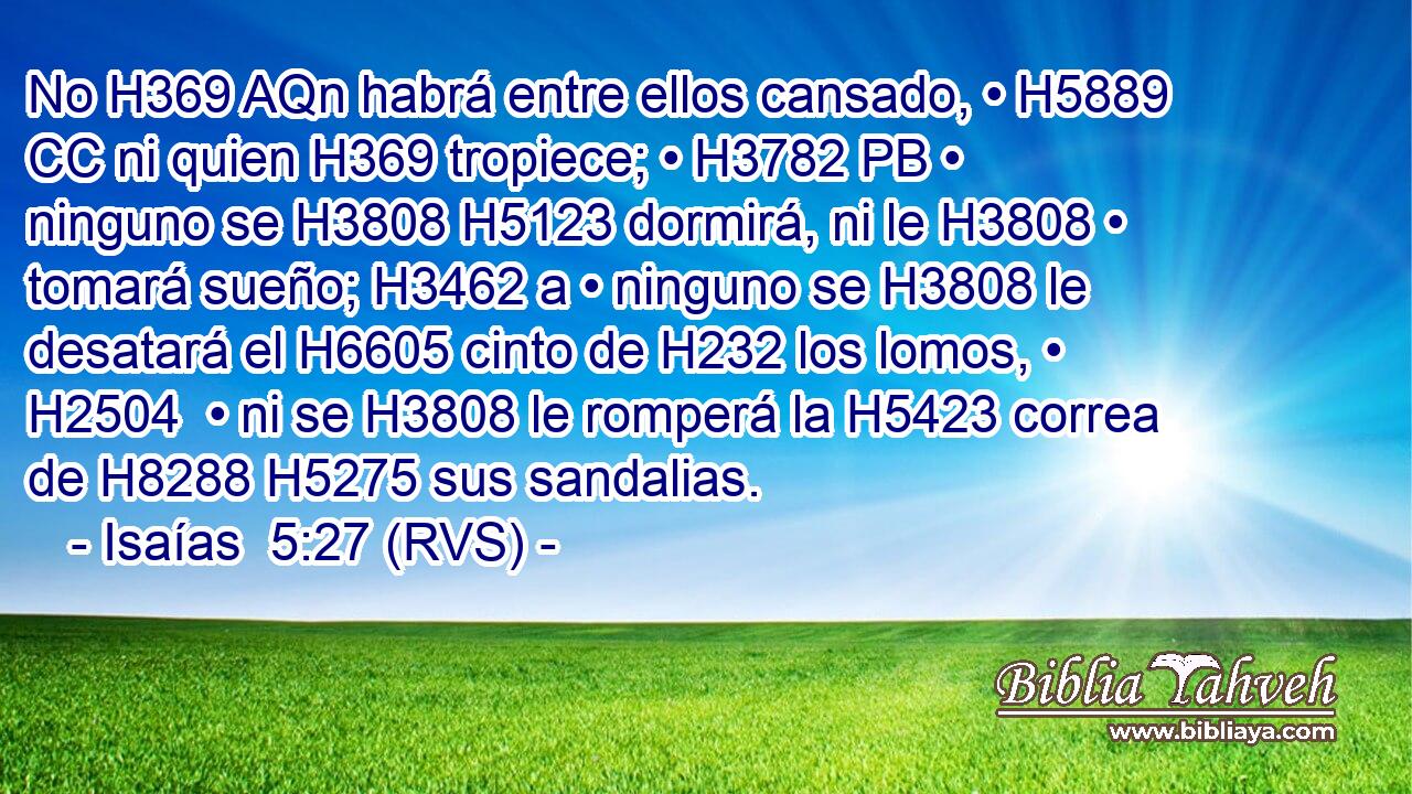 No H369 AQn habrá entre ellos cansado, • H5889 CC ni quien H369 tropiece; • H3782 PB • ninguno se H3808 H5123 dormirá, ni le H3808 • tomará sueño; H3462 a • ninguno se H3808 le desatará el H6605 cinto de H232 los lomos, • H2504  • ni se H3808 le romperá la H5423 correa de H8288 H5275 sus sandalias. 
