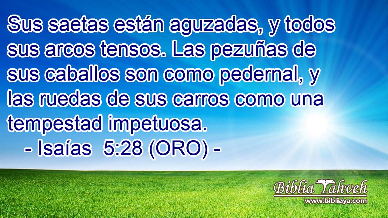  Sus saetas están aguzadas, y todos sus arcos tensos. Las pezuñas de sus caballos son como pedernal, y las ruedas de sus carros como una tempestad impetuosa. 