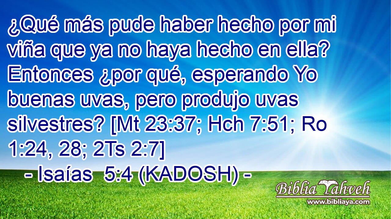  ¿Qué más pude haber hecho por mi viña que ya no haya hecho en ella? Entonces ¿por qué, esperando Yo buenas uvas, pero produjo uvas silvestres? [Mt 23:37; Hch 7:51; Ro 1:24, 28; 2Ts 2:7] 