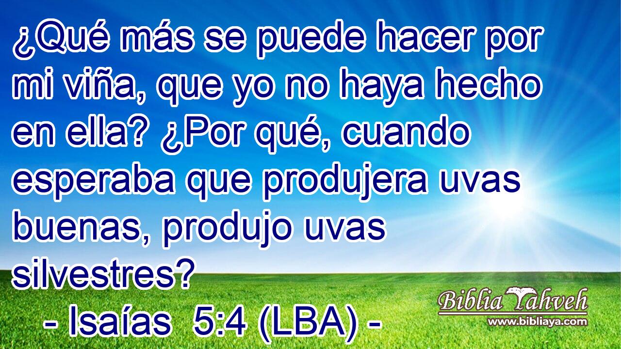 ¿Qué más se puede hacer por mi viña, que yo no haya hecho en ella? ¿Por qué, cuando esperaba que produjera uvas buenas, produjo uvas silvestres?