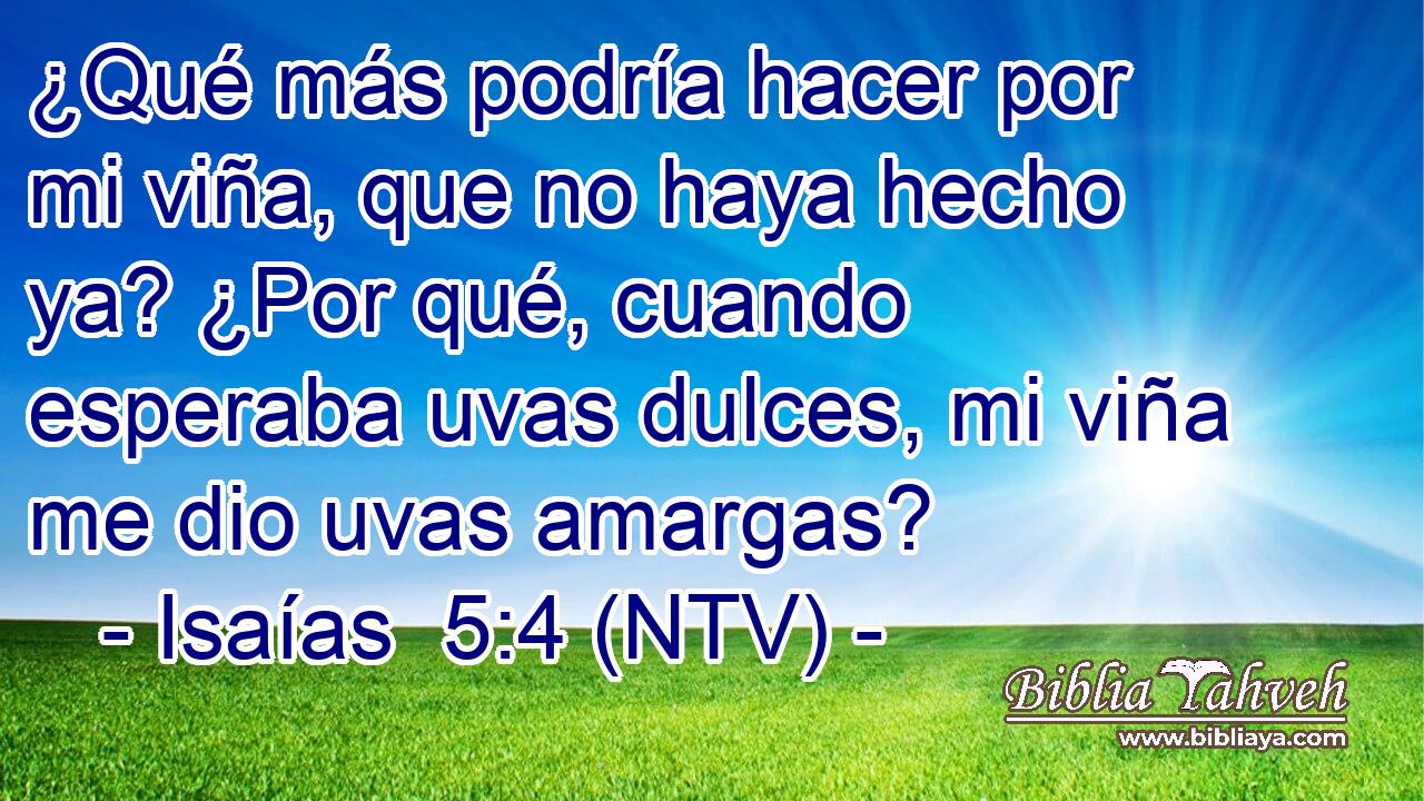 ¿Qué más podría hacer por mi viña, que no haya hecho ya? ¿Por qué, cuando esperaba uvas dulces, mi viña me dio uvas amargas?