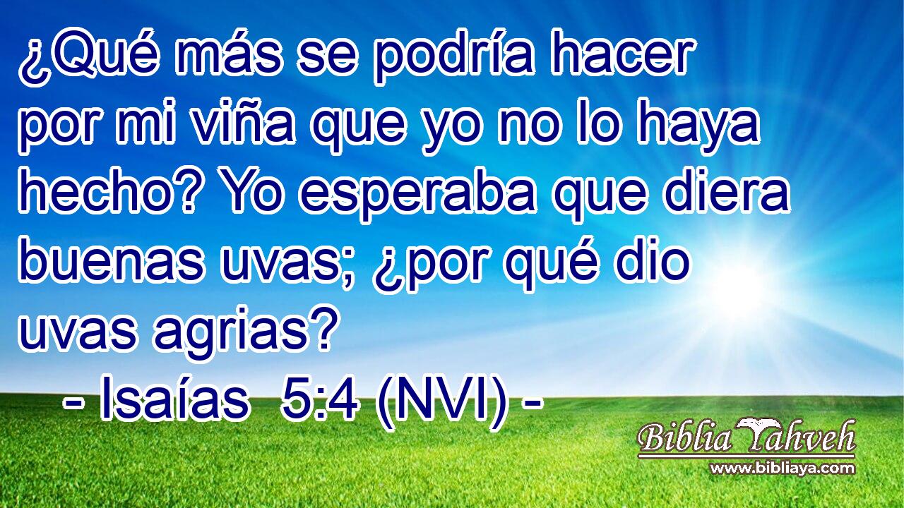  ¿Qué más se podría hacer por mi viña que yo no lo haya hecho? Yo esperaba que diera buenas uvas; ¿por qué dio uvas agrias? 