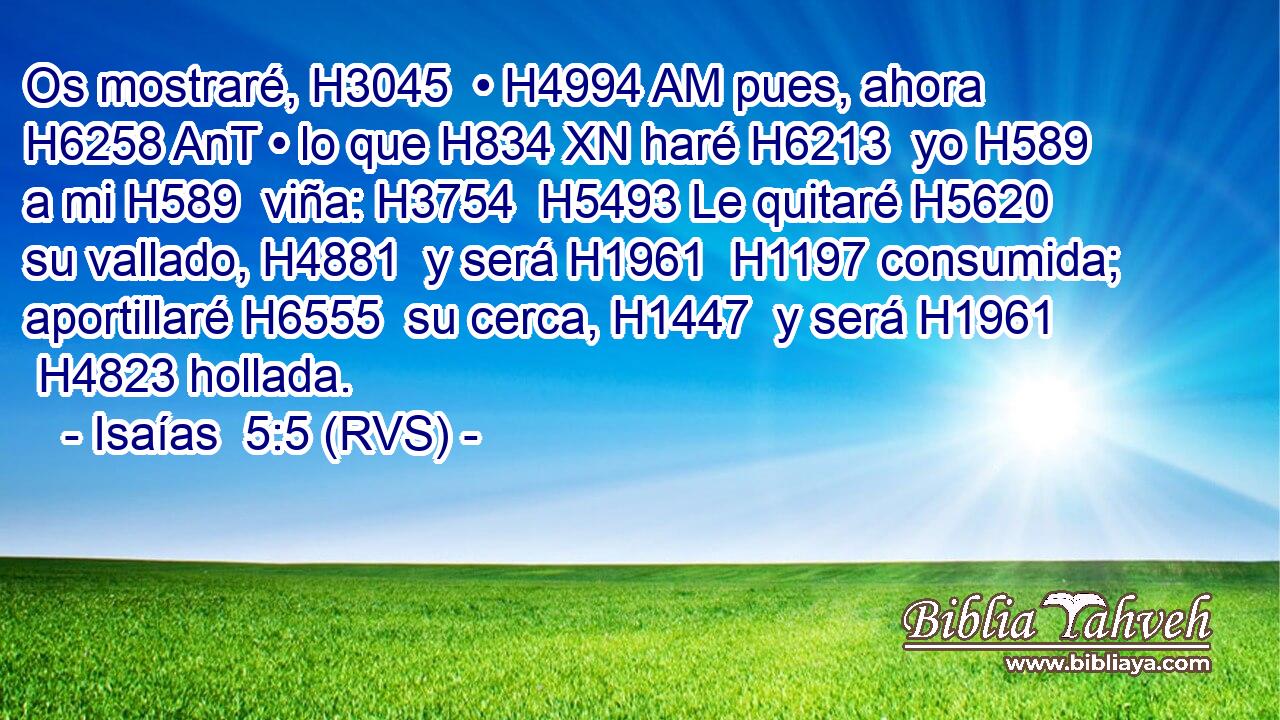 Os mostraré, H3045  • H4994 AM pues, ahora H6258 AnT • lo que H834 XN haré H6213  yo H589  a mi H589  viña: H3754  H5493 Le quitaré H5620  su vallado, H4881  y será H1961  H1197 consumida; aportillaré H6555  su cerca, H1447  y será H1961  H4823 hollada. 