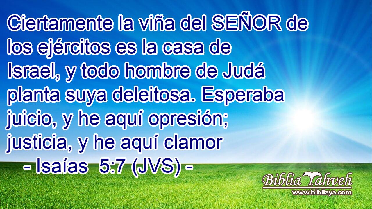 Ciertamente la viña del SEÑOR de los ejércitos es la casa de Israel, y todo hombre de Judá planta suya deleitosa. Esperaba juicio, y he aquí opresión; justicia, y he aquí clamor
