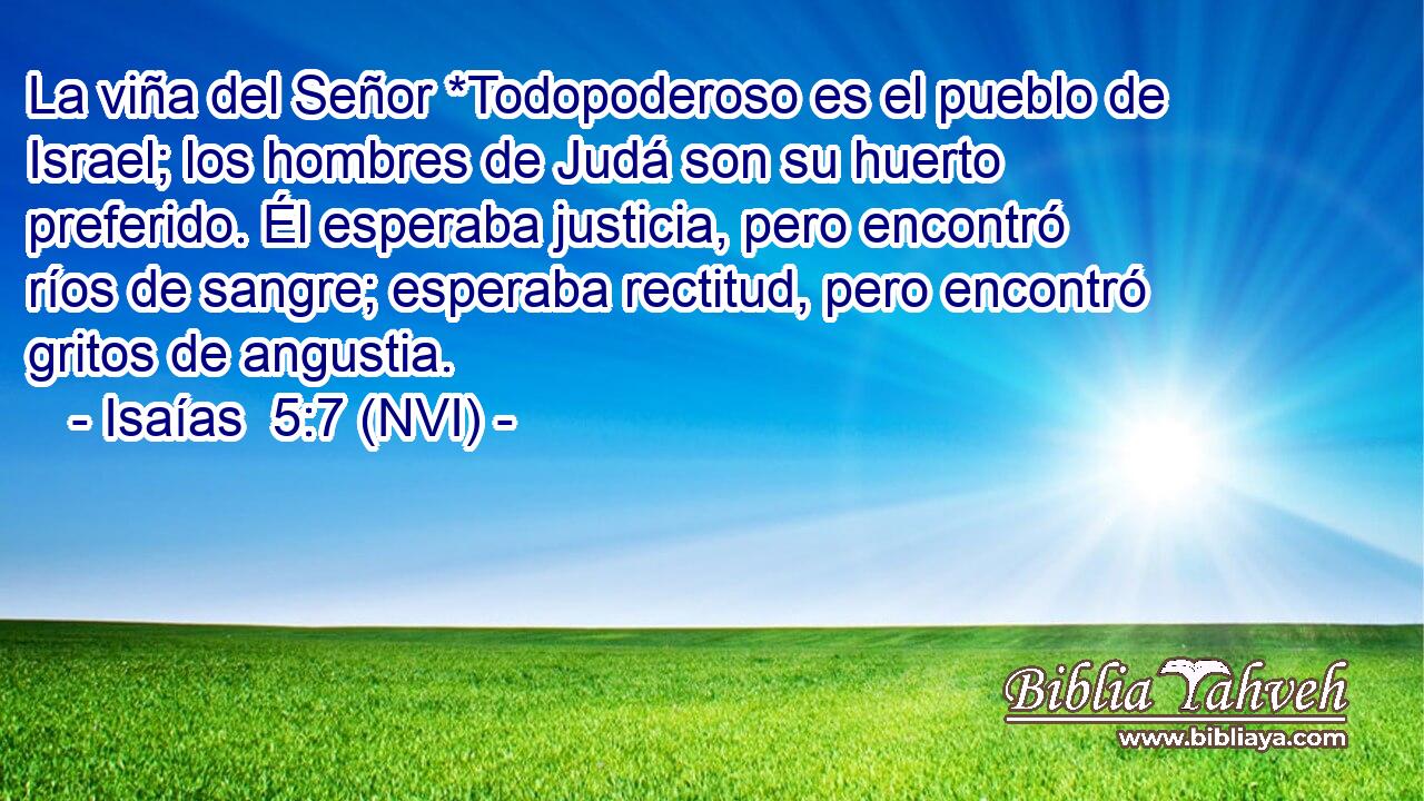  La viña del Señor *Todopoderoso es el pueblo de Israel; los hombres de Judá son su huerto preferido. Él esperaba justicia, pero encontró ríos de sangre; esperaba rectitud, pero encontró gritos de angustia. 