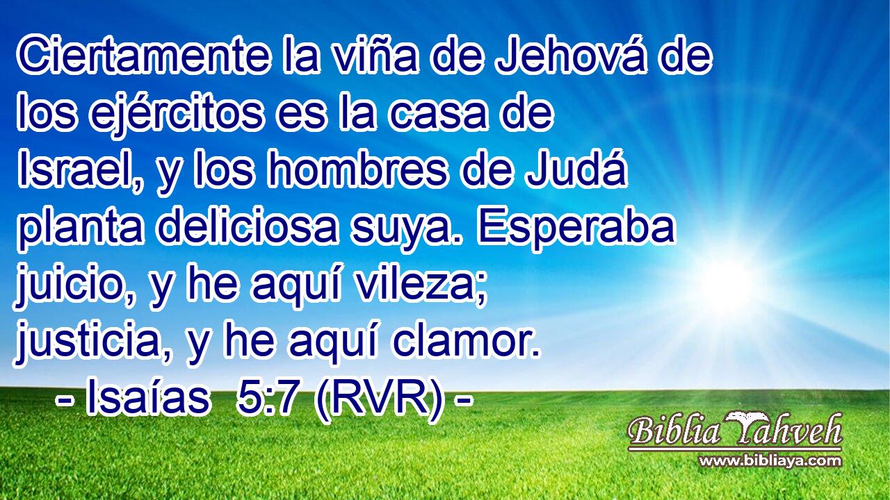Ciertamente la viña de Jehová de los ejércitos es la casa de Israel, y los hombres de Judá planta deliciosa suya. Esperaba juicio, y he aquí vileza; justicia, y he aquí clamor.